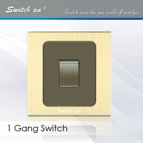 1-gang-switch
